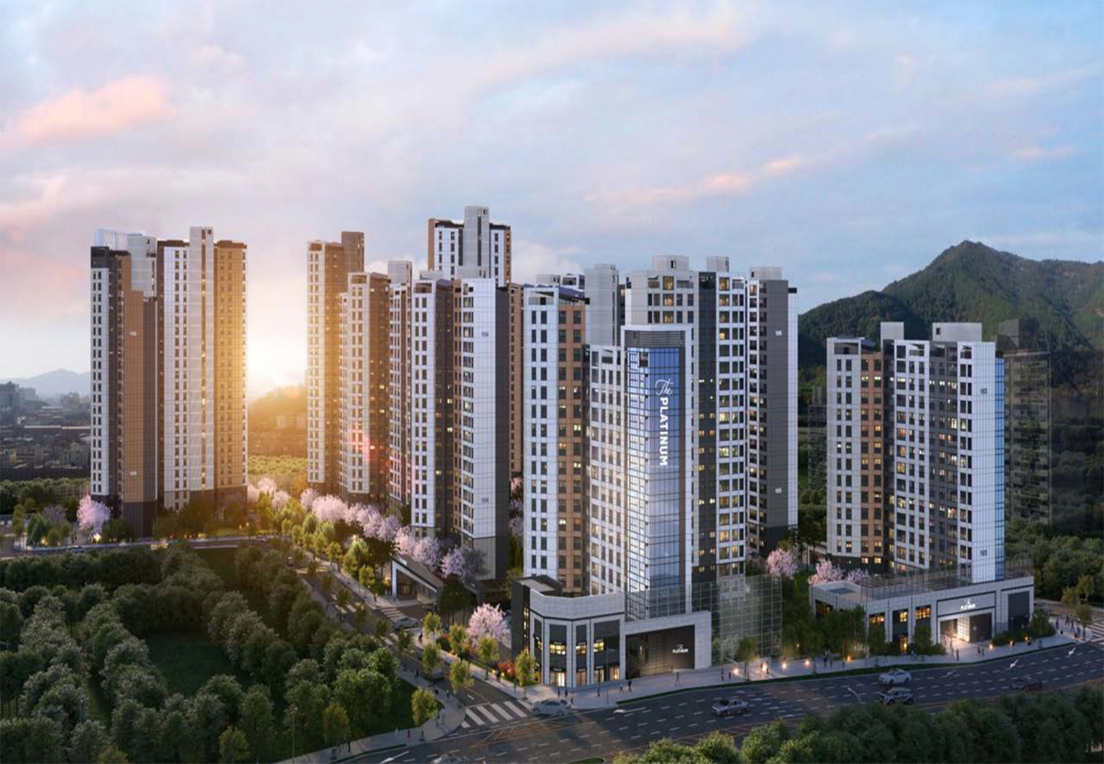 대전 쌍용 더 플래티넘 네이처 1