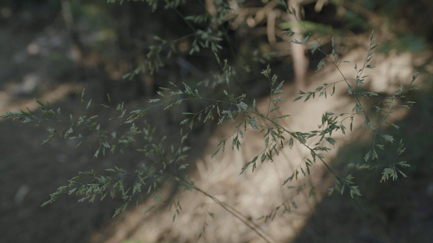 소요한남 레지던스 img1